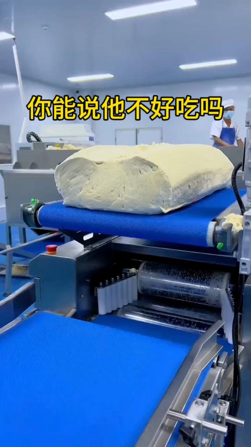 踩过坑的人才懂：选食品机械厂家，一眼辨坑比啥都强