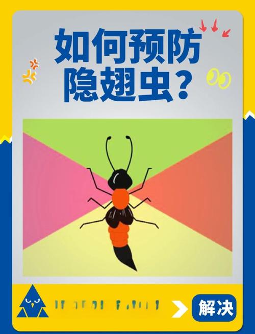 防虫这件事，原来藏着过日子的小道理