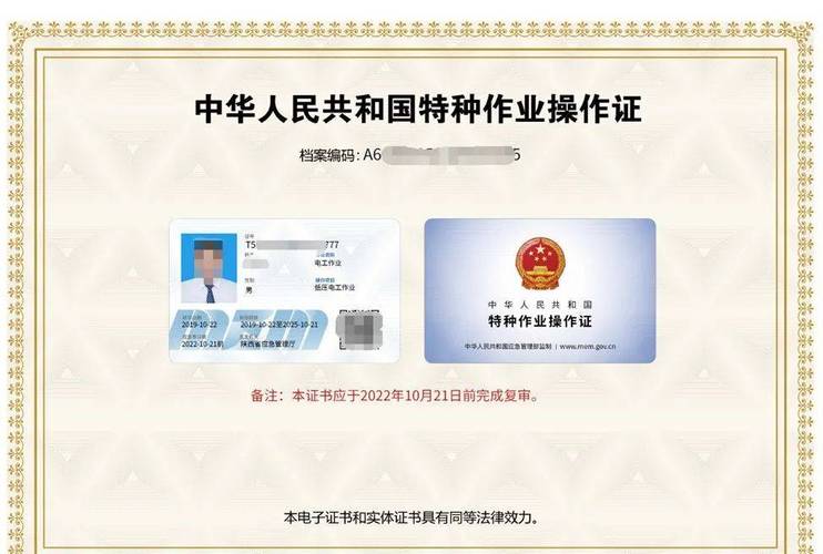应急管理局特种作业电子证书查询界面