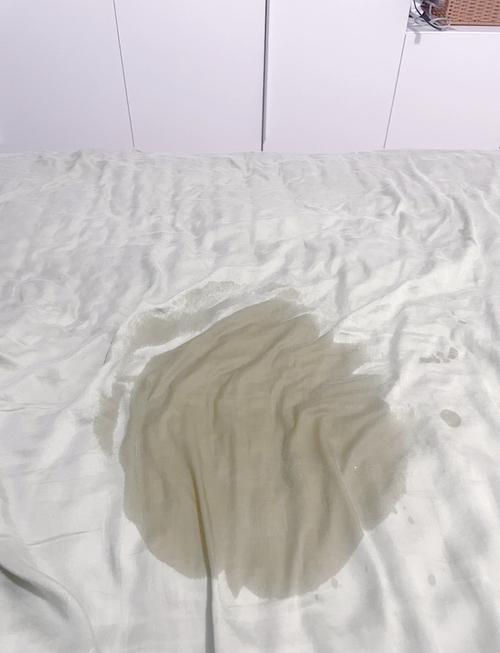 家养猫咪在卧室刚换的床单乱尿现场