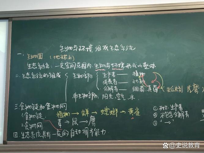 中学生物课生态位概念手绘坐标板书