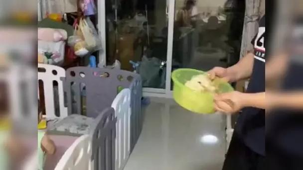 老人工厂宿舍区花园追着孩子喂饭场景