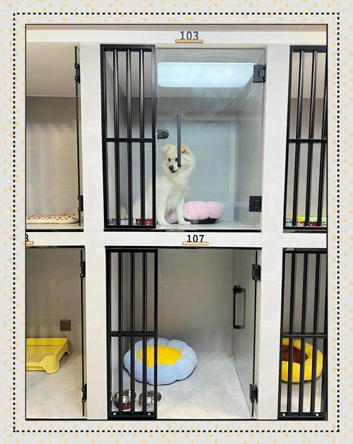留门开放的家用宠物笼养场景