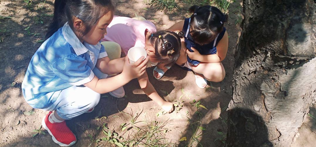 别把孩子追着问的‘为什么’，当成好奇心引导的全部