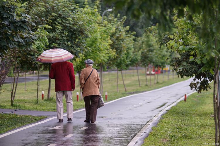 白发老夫妻在小雨中搀扶漫步花园的背影