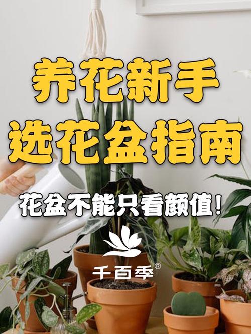 选盆的小原则，帮你省心