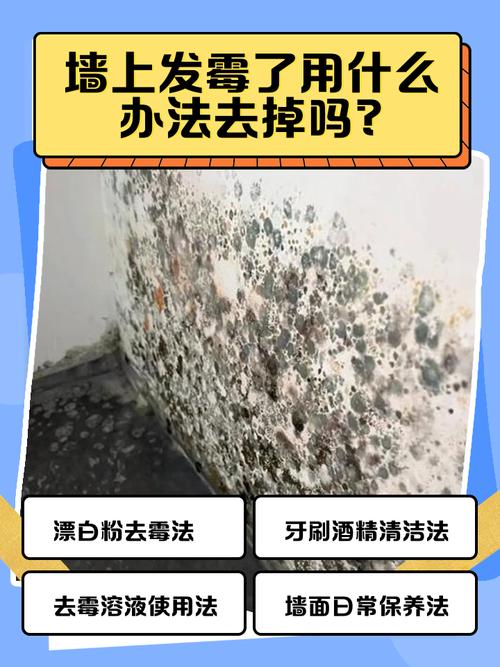 白醋小苏打清洁墙面霉菌步骤实拍
