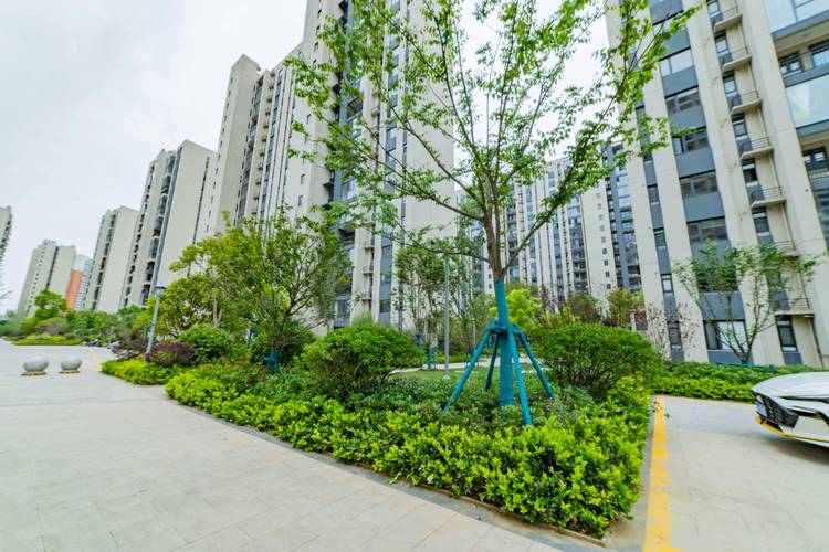南京低容积率住宅小区楼间距实景图