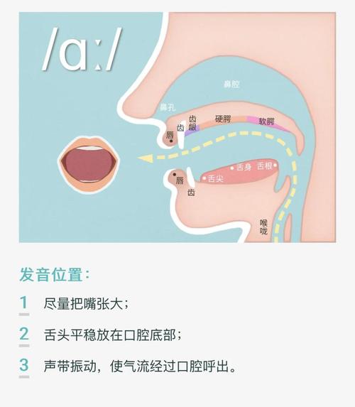 儿童发音口型学习卡片示意图