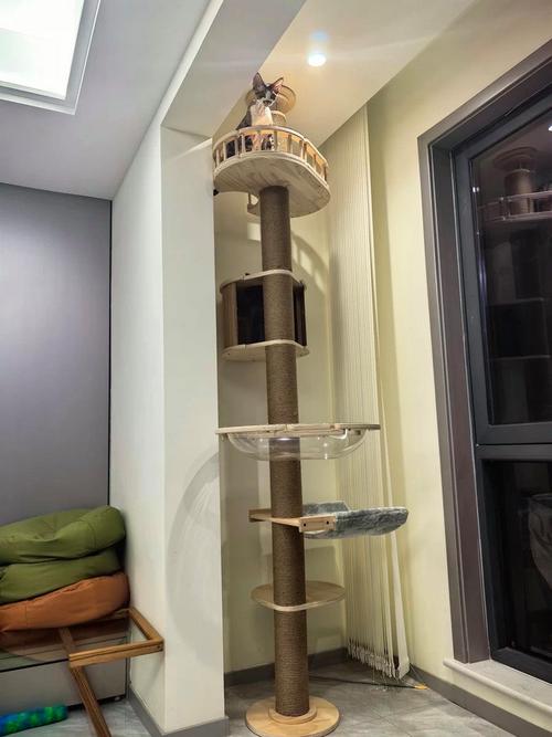 猫咪在高处猫爬架上休息，下方有幼儿玩耍围栏的安全隔离布局