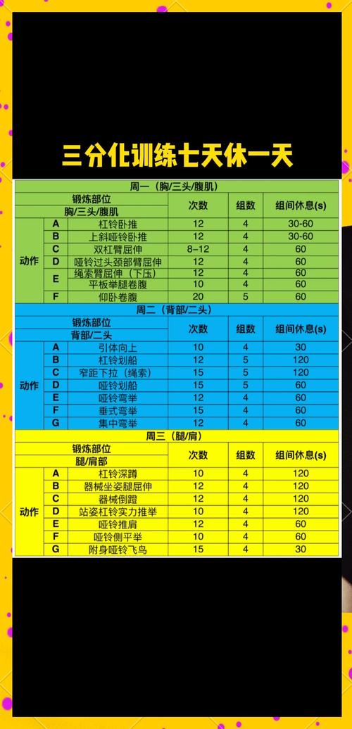 新手三分化增肌计划训练部位分配表