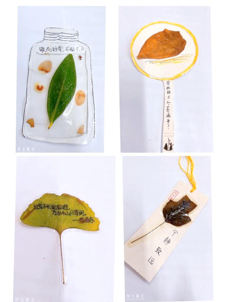 小学生亲手做的树叶压花实践性作业手写成品