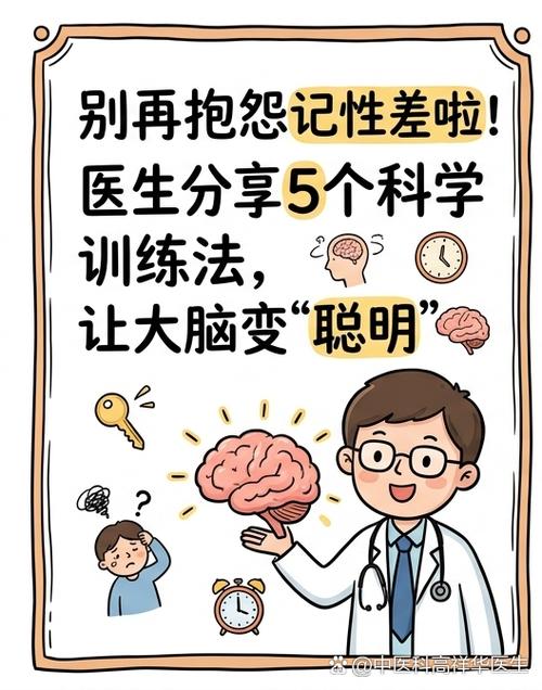 睡前大脑记忆回放训练示意图