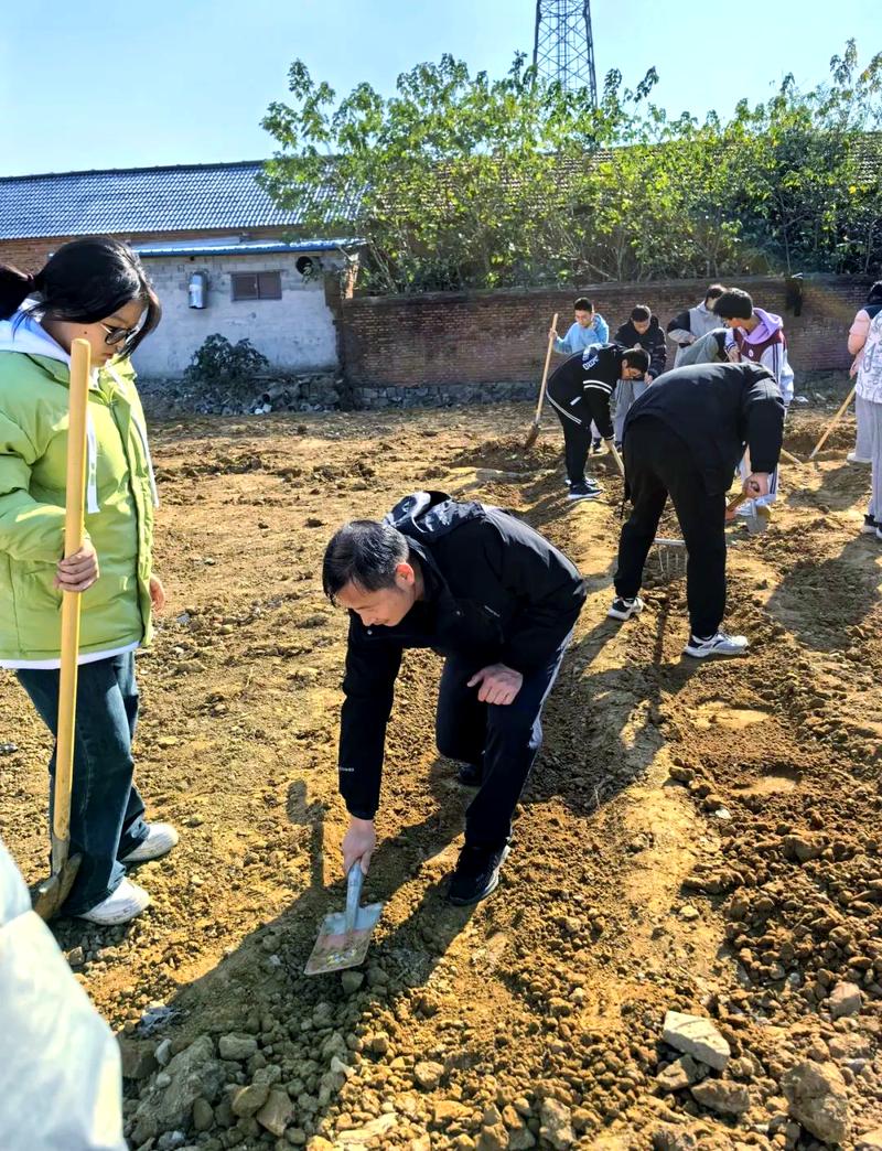 农村学校菜地劳动教育实践