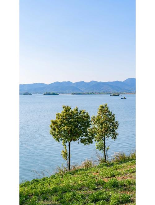 看完湖别急着走，这些体验别错过