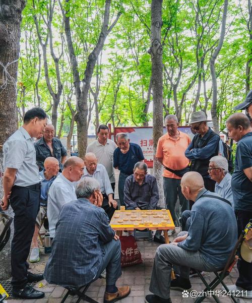 城市公园银发老人下棋休闲场景