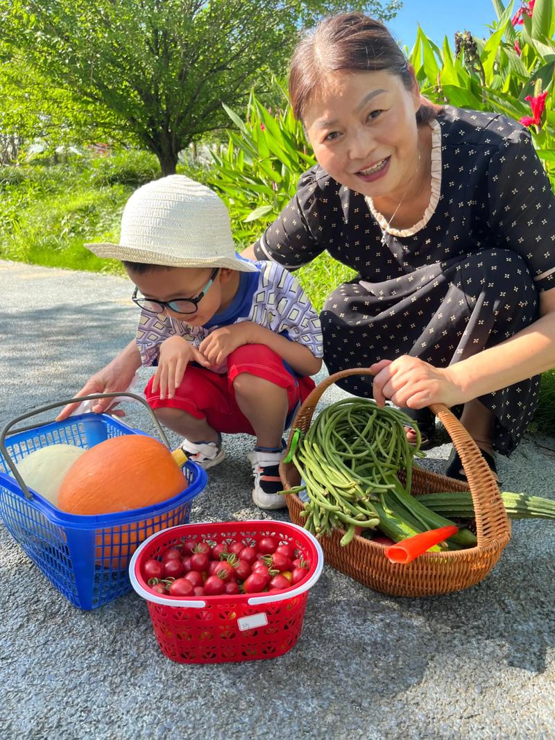 广西巴马壮族小孩帮大人摘青菜