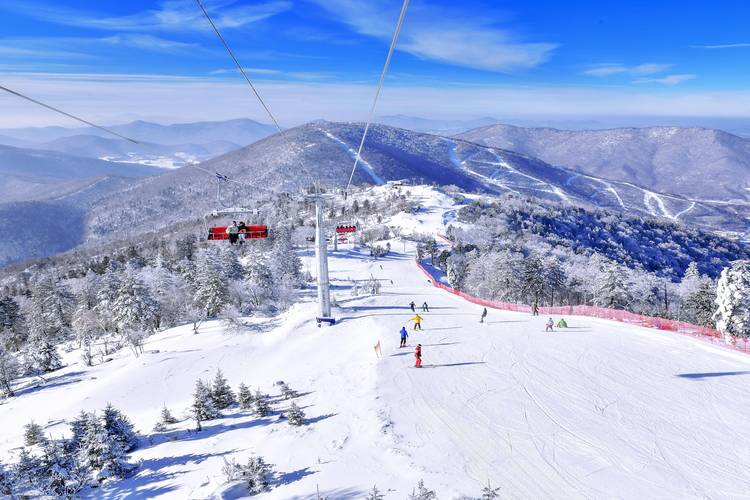 其他值得一试的滑雪地