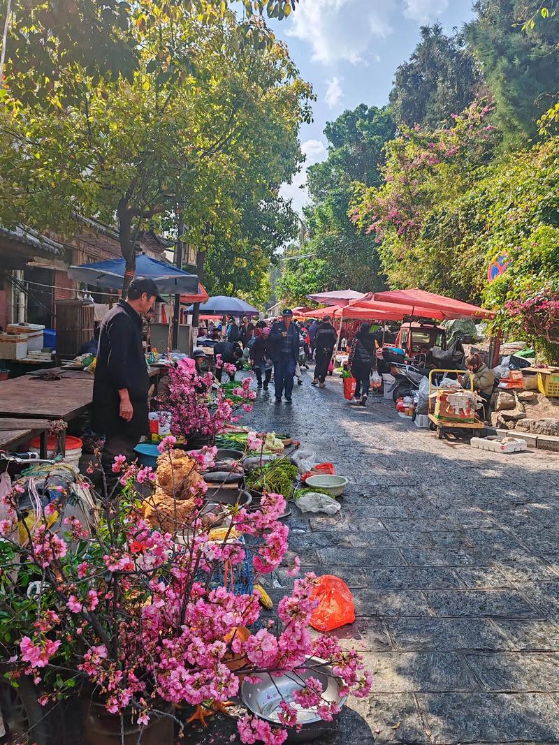 大理北门菜市场早市