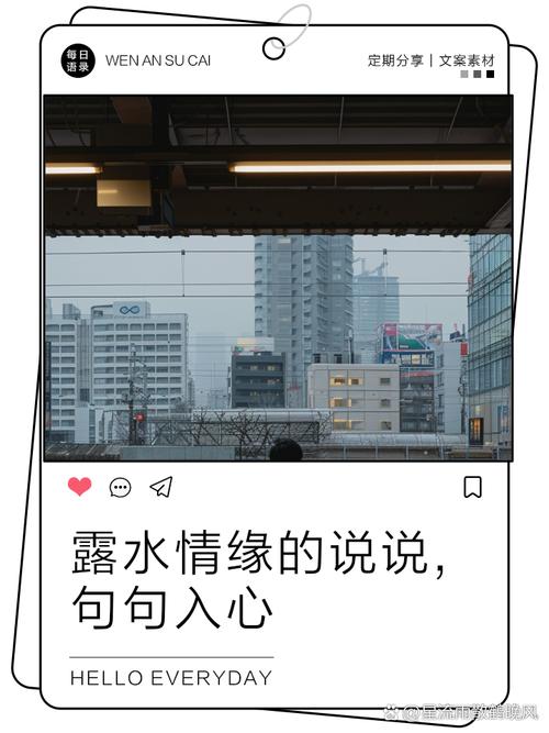 我自己和露水的几次相遇