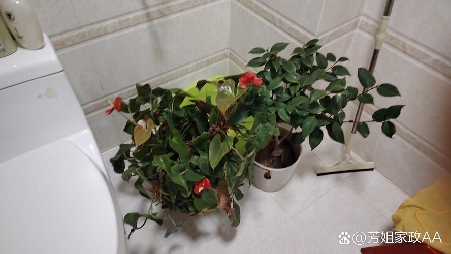 日常洗一次,真的花不了十分钟