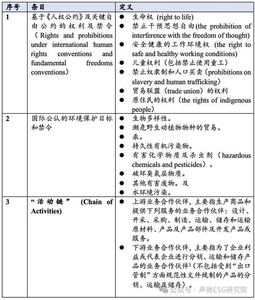 欧盟CSDDD社会责任合规要求正式文件
