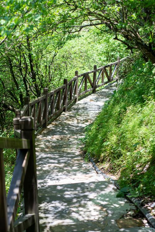 梵净山徒步林荫溪谷步道