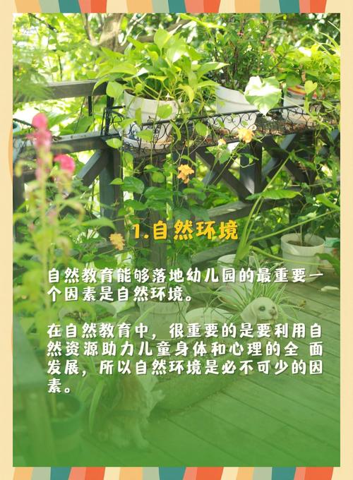 家长送森林幼儿园常踩的三个坑