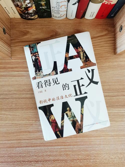 影视解说的法律属性界定