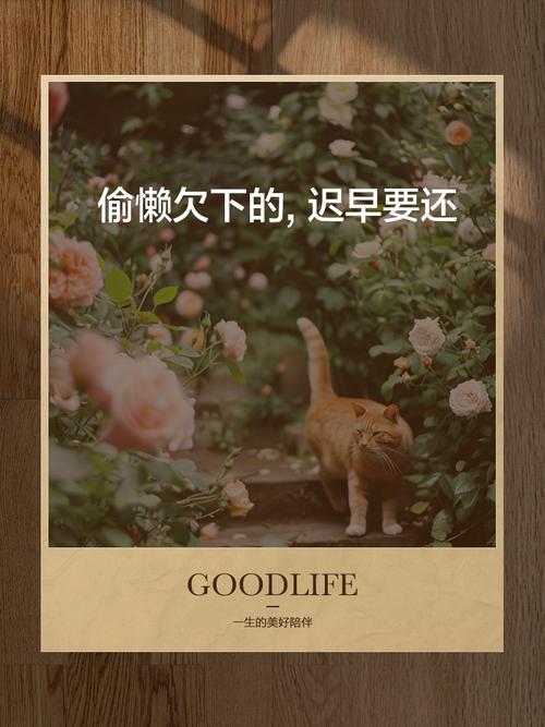 维护：别偷的懒，迟早要还