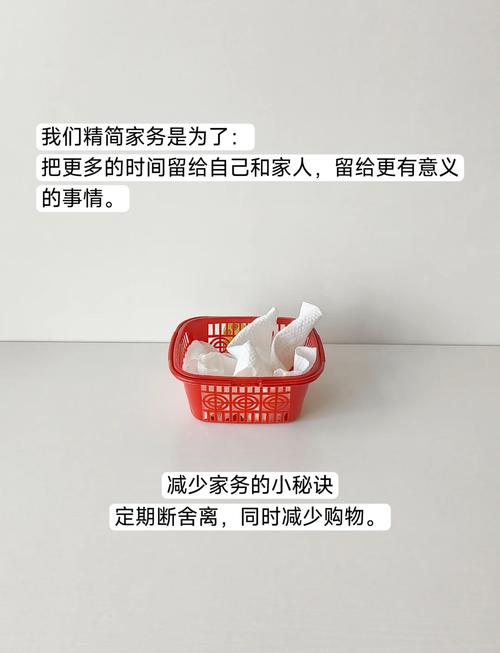怎么就走上极简家务这条路了
