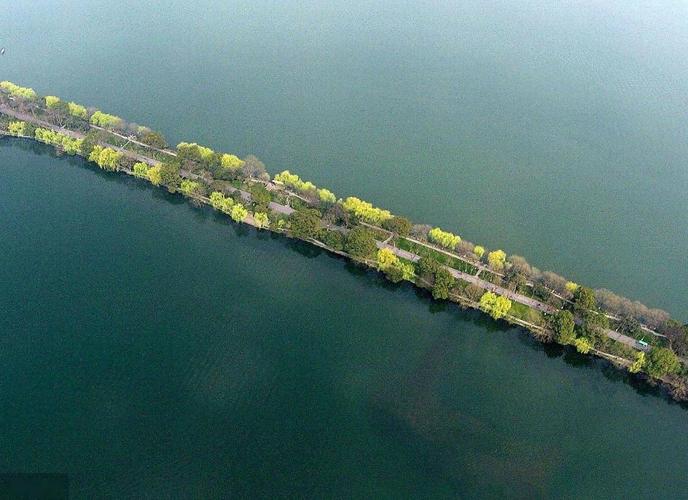杭州西湖春季苏堤垂柳青石板路景色