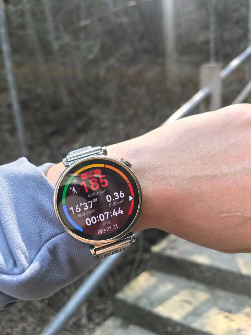 登山前静息心率测量日常实拍