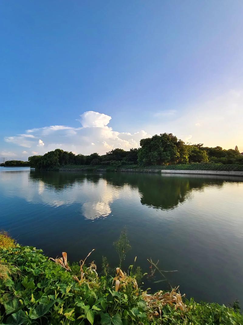 流水会带走什么?——一场漫无边际的思绪漂流-因为所以