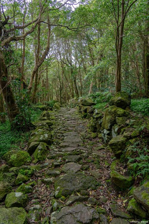 池州百牙塔山脚下覆着青苔的石阶