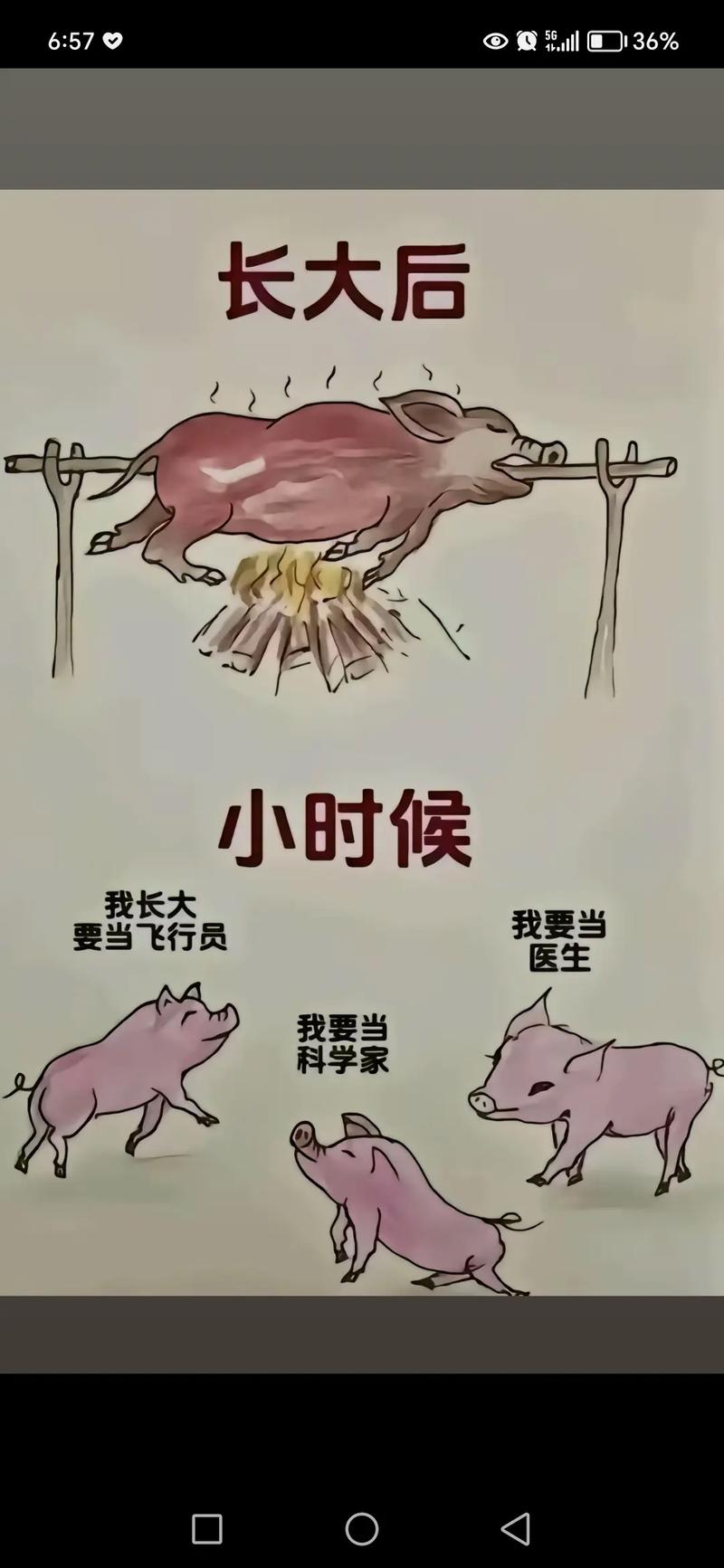 💡 预算与风格:理想很丰满,钱包呢?