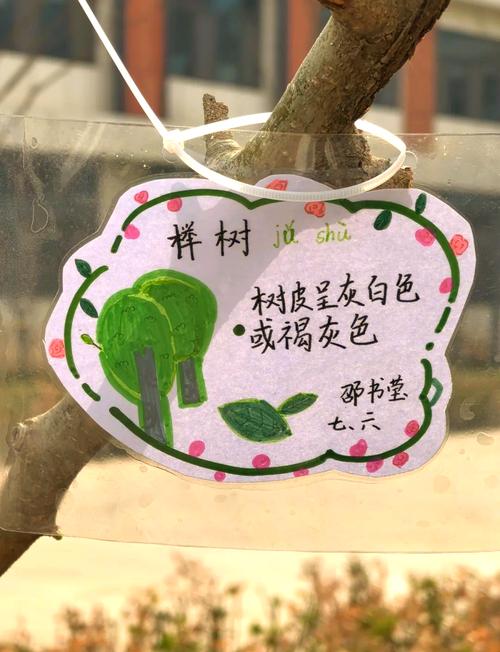 孩子给校园枯树立的手写纪念木牌