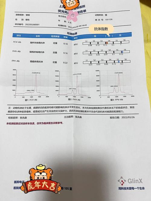 猫三联抗体检测报告S级结果实拍图