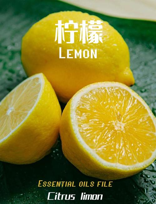 柠檬:这颗酸到让人扭曲的果子,凭什么霸占了全世界的厨房?-因为所以