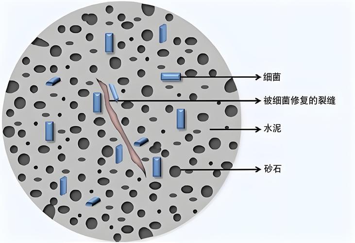 麻省理工学院自修复混凝土细菌沉淀裂缝修复实验照片