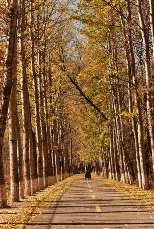 北京延庆百里画廊秋季骑行公路风景