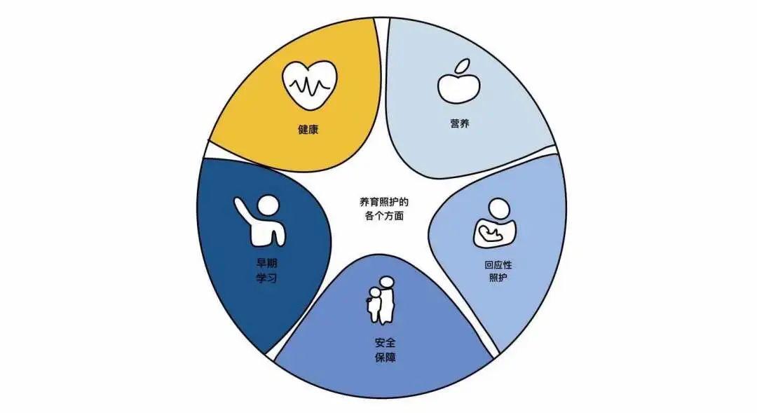 儿童发展领域回应式照护3-5秒反应间隙示意图
