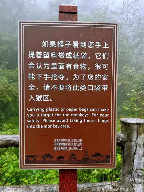吃玩参考：别在猴区手欠，别在景区门口当冤大头