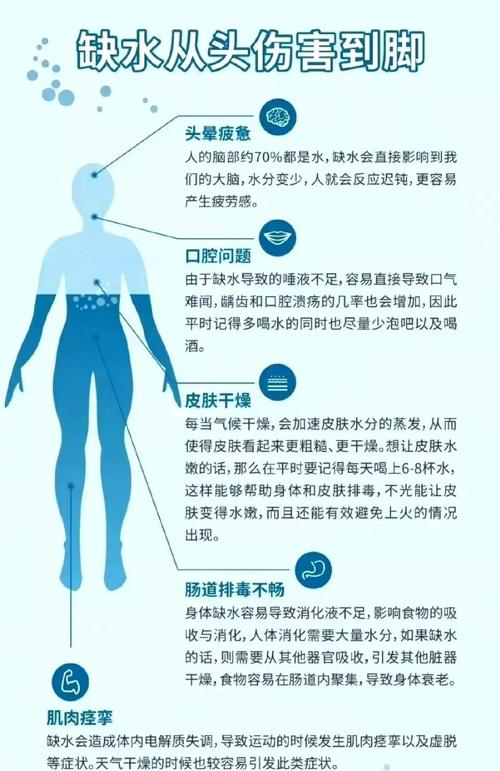 人体缺水信号分层科普图