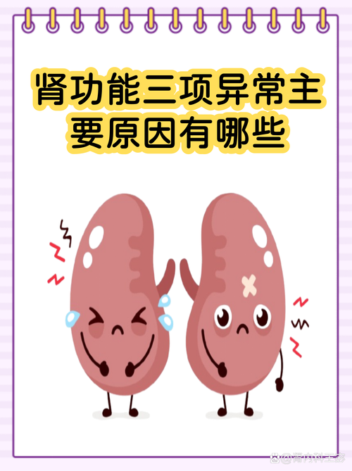 常见易触发延期承保的身体异常整理图