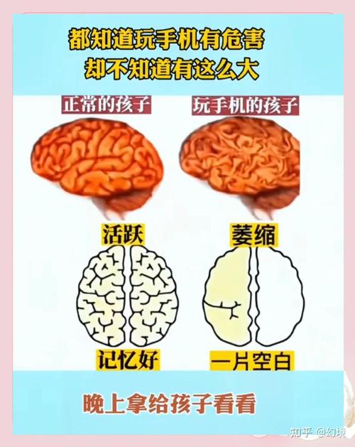 刷短视频多了,孩子的记忆真的会出问题吗?