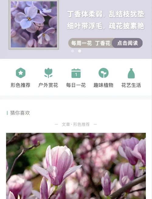 手机端花卉识别多模态检索场景示例