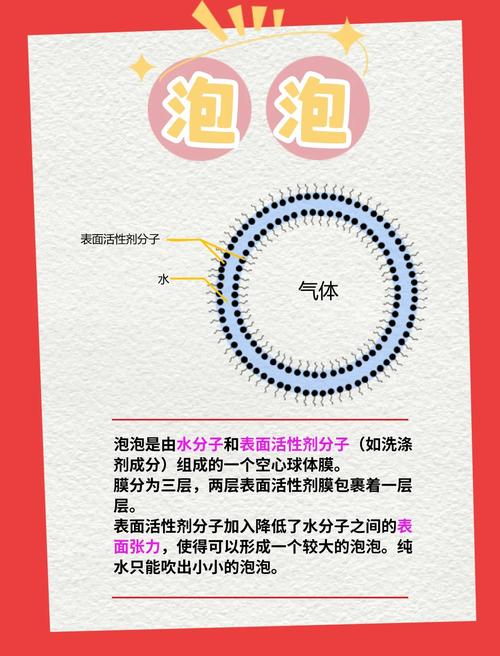 冲泡的玄学与科学