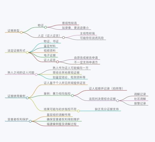 反家暴诉讼举证证据链结构示意图
