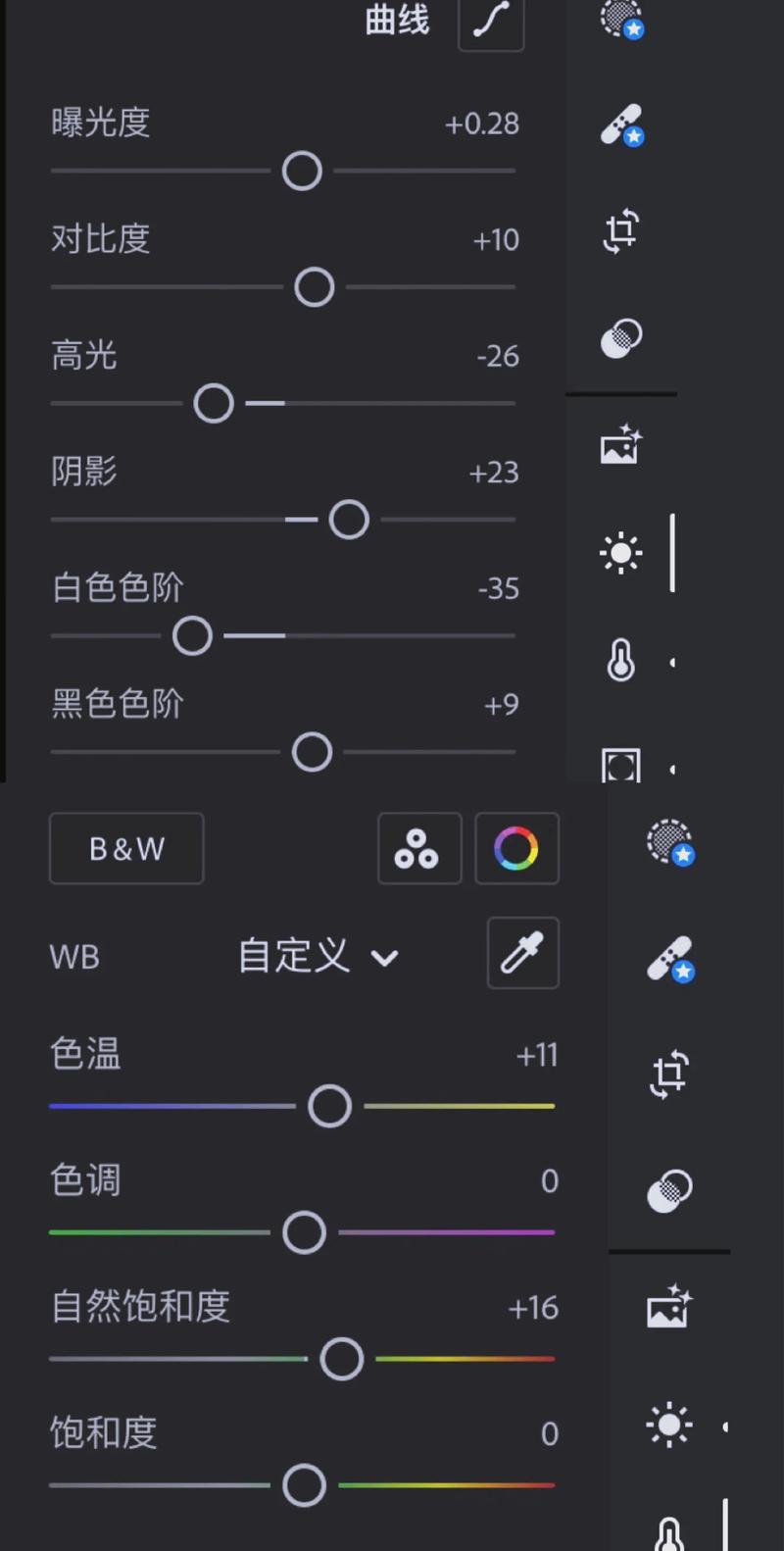 电脑Lightroom胶片调色曲线调整面板截图